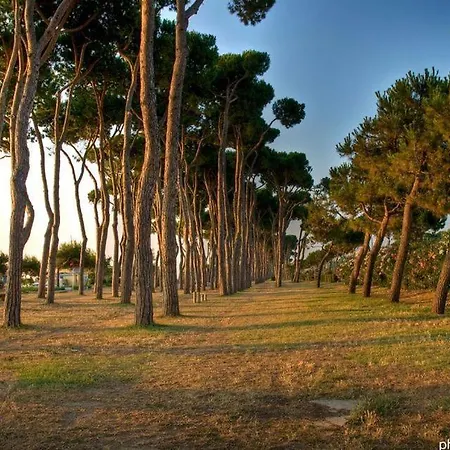 Apartment Aura Pt - Pineto