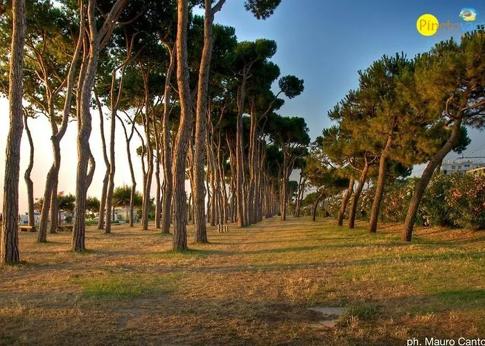 Apartman Aura Pt - Pineto