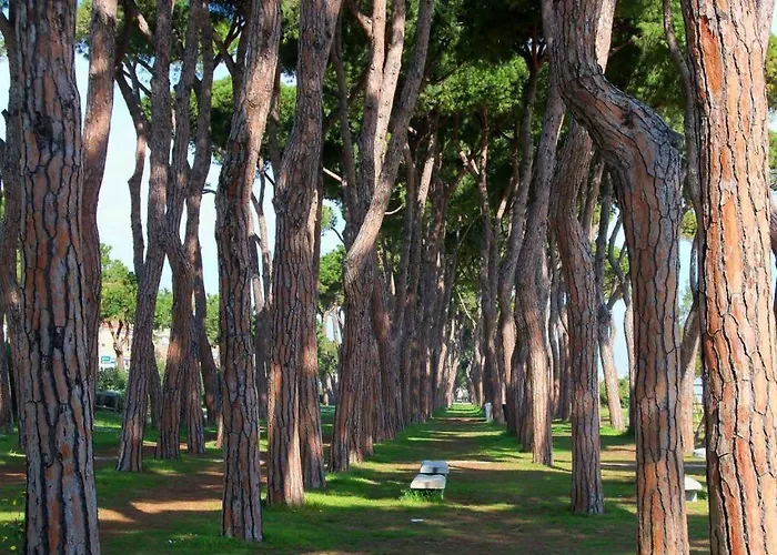 Aura Pt - ピネート